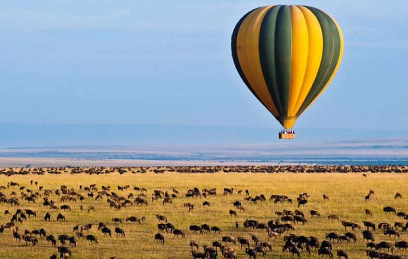 Timeless Wilderness & Majestic Wildlife: An 8-Day Classic Kenyan Safari