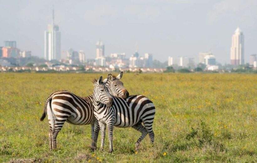 The Ultimate Classic Kenyan Safari