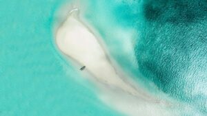 Gallery Thumbnail 3