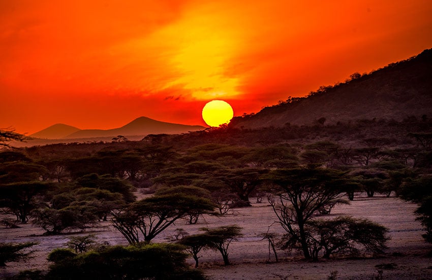 samburu