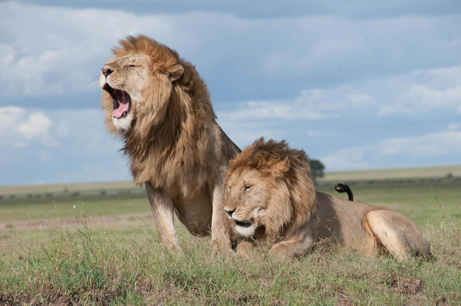 Kenya