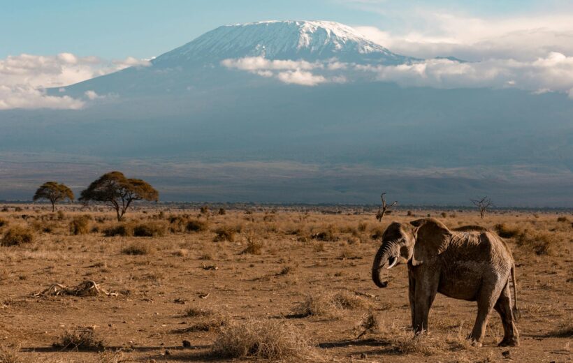 🌍 9-Day East Africa Safari: Kenya, Tanzania & Rwanda Adventure