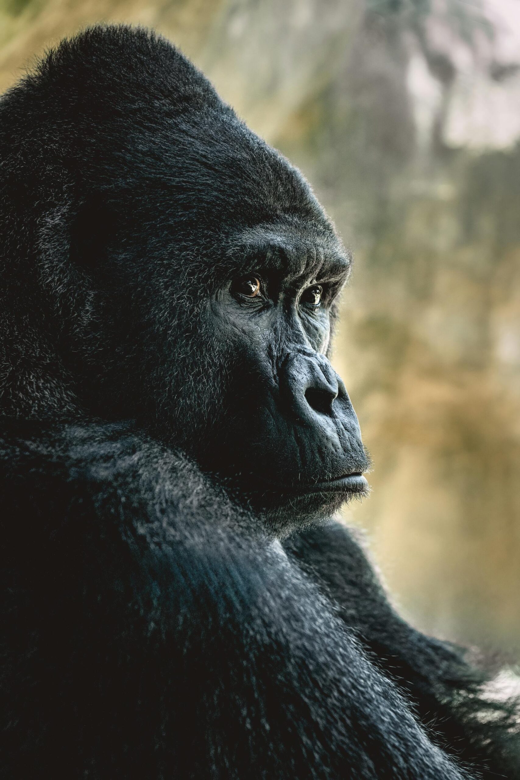 Uganda